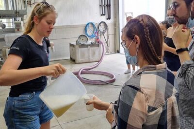 Small Group Hunter Valley Wine Tour w Lunch, Gin, Cheese & Choc - Pickup, timing, and what a 6–7 hour day actually feels like