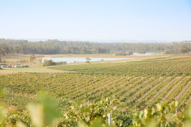 Small Group Hunter Valley Wine Tour w Lunch, Gin, Cheese & Choc - Guides and vibe: why the day can feel personal in a group setting