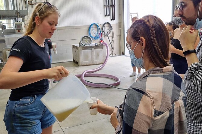 Small Group Hunter Valley Wine Tour w Lunch, Gin, Cheese & Choc - Pickup, timing, and what a 6–7 hour day actually feels like