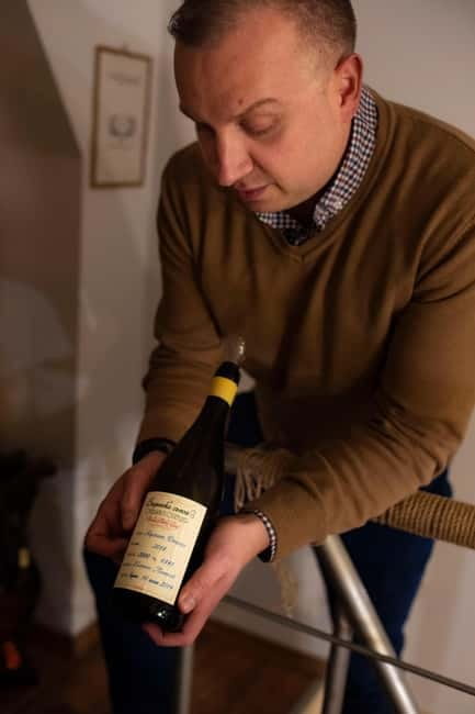 Sofia: Wine & Cheese Tasting Experience - Price and value: what $21 buys you (and why it’s not just samples)