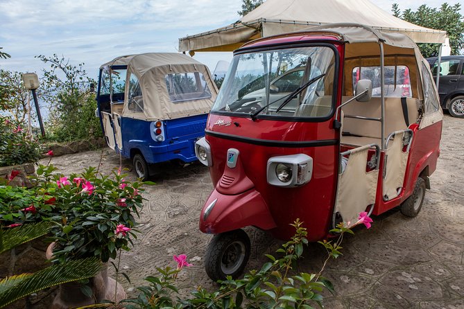 Sorrento Farm by Tuk Tuk: Cheese, Limoncello & Hands-On Pizza - Limoncello Finish: The Family Recipe, Then the Sipping