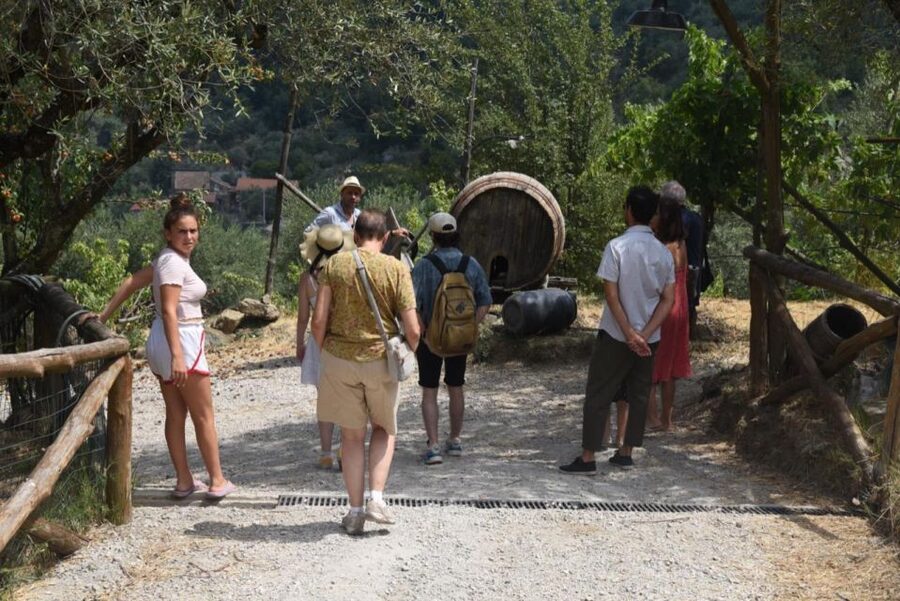 Sorrento Farm Experience: Pizza, Cheese, Wine & More - The D.O.P. Certified Farm Stop: Cheese Comes With Context