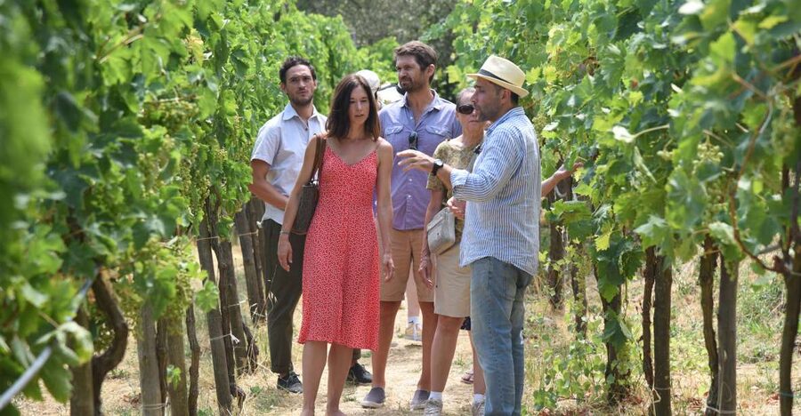 Sorrento: Farm Tour with Cheese Tasting & Pizza Making Class - Key Things You’ll Actually Remember