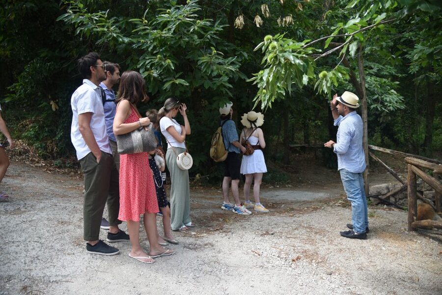 Sorrento: Farm Tour with Cheese Tasting & Pizza Making Class - Who Should Book This (and Who Should Skip It)