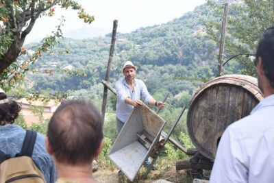 Sorrento: Farm Tour with Cheese Tasting & Pizza Making Class - Four Hours on a Real Campania Farm: The Full Flow
