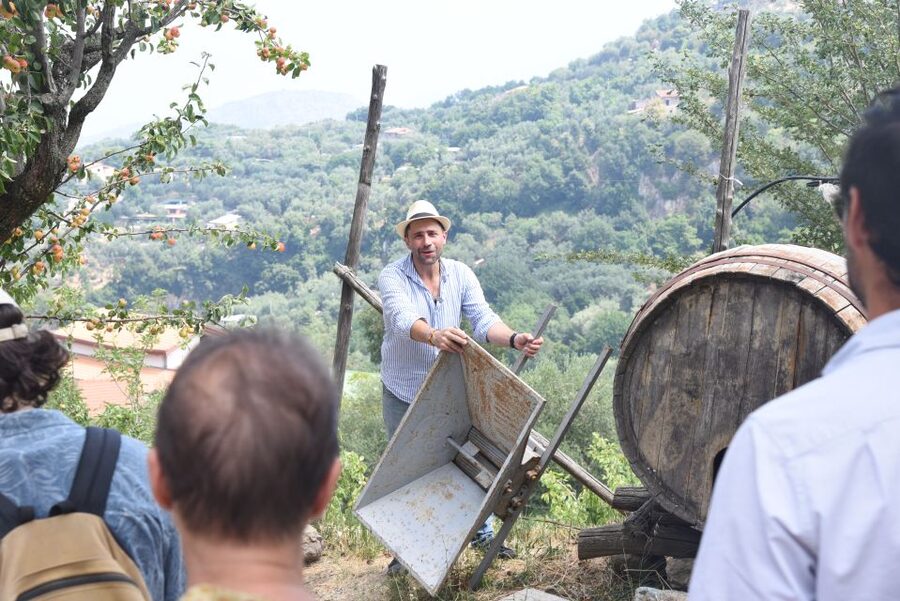 Sorrento: Farm Tour with Cheese Tasting & Pizza Making Class - Four Hours on a Real Campania Farm: The Full Flow