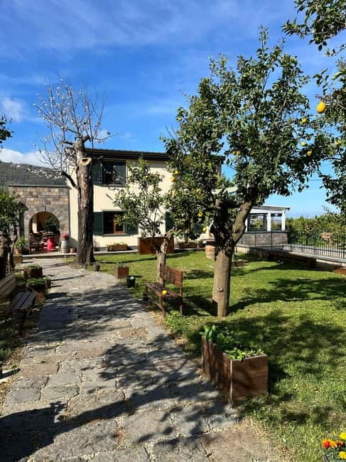 Sorrento: Mozzarella experience. Say CHEESE with us! - Should you book this mozzarella and lemon tour?