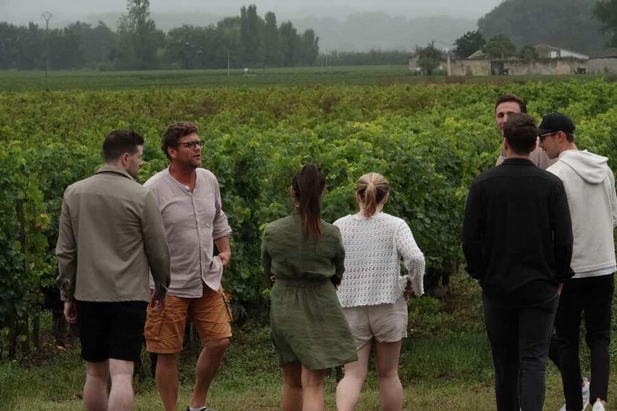 St. Emilion: Half Day E-Bike & Wine Tour with Wine & Cheese - Price and Value for $147: Is It Worth It?