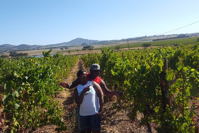 Stellenbosch Franschhoek Full-Day Tour with Cheese Tasting - Getting There: Hotel Pickup, Comfort, and a Day That Stays on Time