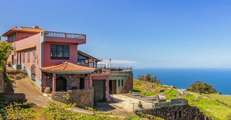 Tacoronte: Guided Winery Tour with Wine and Cheese Tastings - Key things that make this tour worth your time