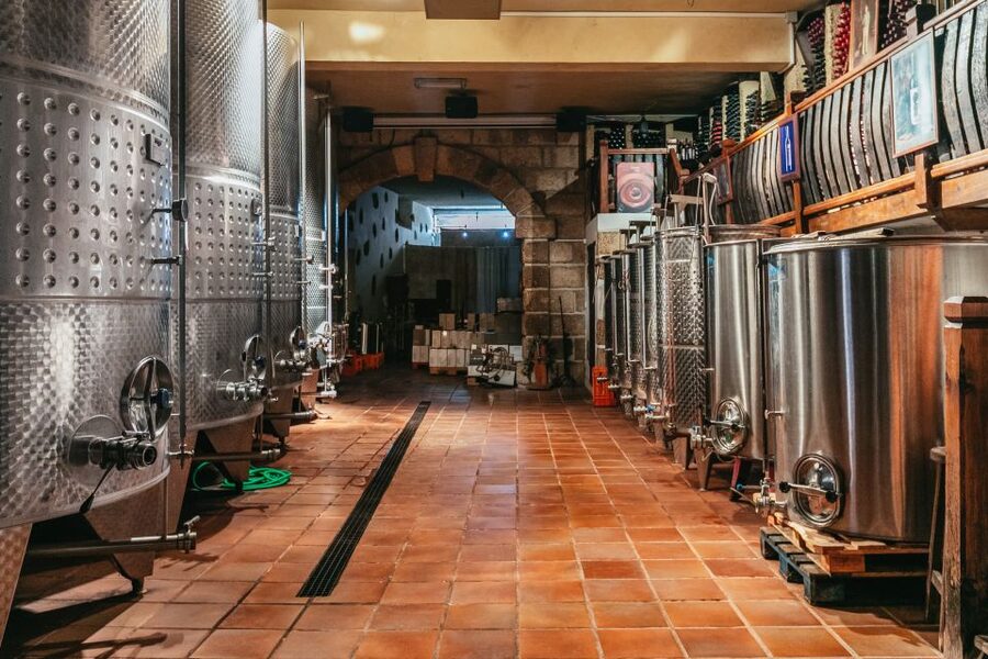 Tacoronte: Guided Winery Tour with Wine and Cheese Tastings - Who this tour suits best (and who should skip)