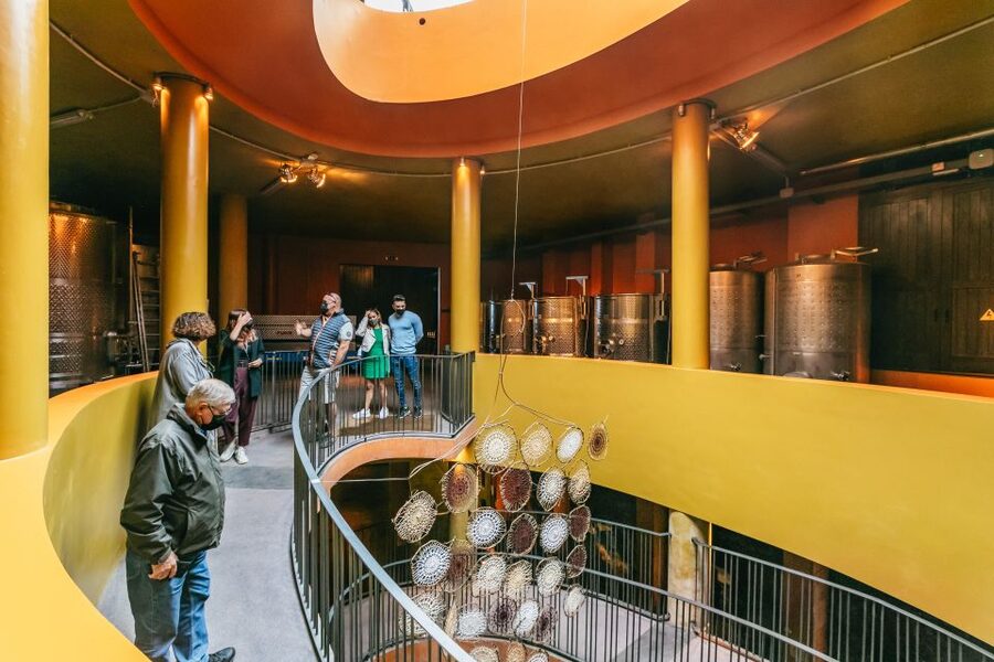 Tacoronte: Guided Winery Tour with Wine and Cheese Tastings - Why the pairing approach actually helps you taste better