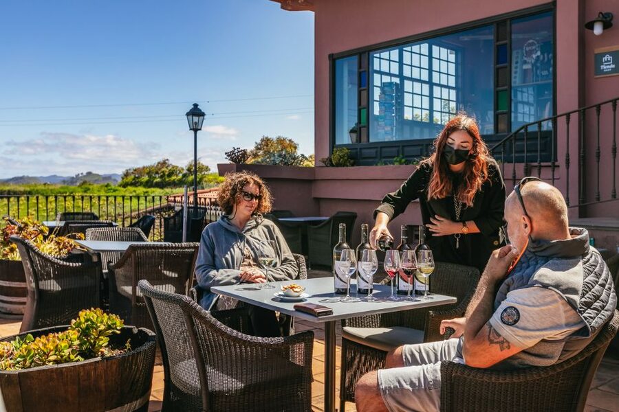 Tacoronte: Guided Winery Tour with Wine and Cheese Tastings - Price and value: is $41 a good deal?
