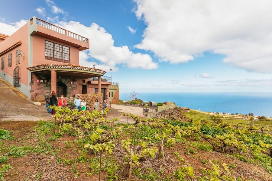 Tacoronte: Guided Winery Tour with Wine and Cheese Tastings - Getting there from where you are: simple planning for a Tenerife day