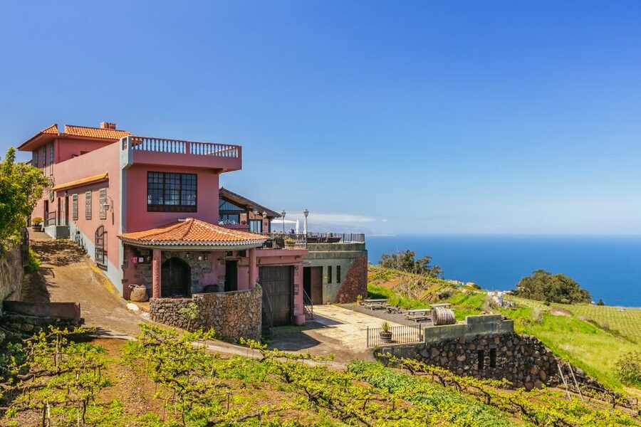 Tacoronte: Guided Winery Tour with Wine and Cheese Tastings - The Monje story: what you learn before you taste