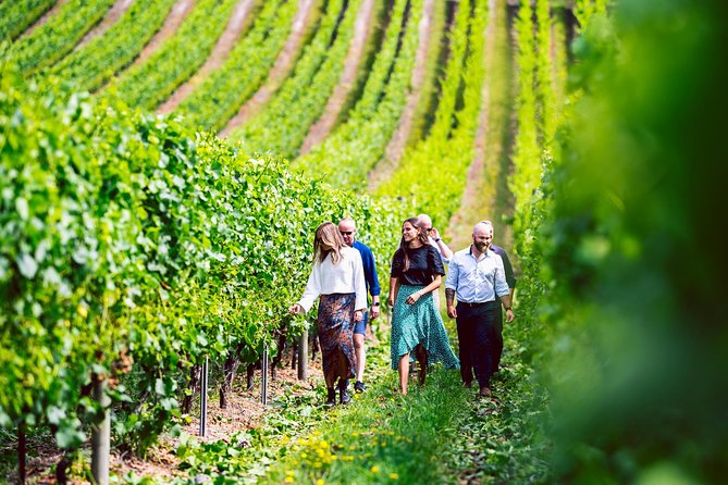 Tasmanian Premium Wine Tour with Tasmanian Cheese Platter - Key Things I’d Watch For Before You Go