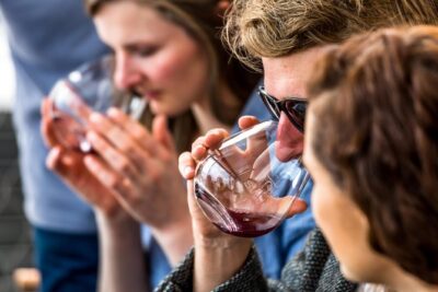 Tasmanian Premium Wine Tour with Tasmanian Cheese Platter - Franklin Wharf Pickup and the Day’s Pace (Start at 10:30)
