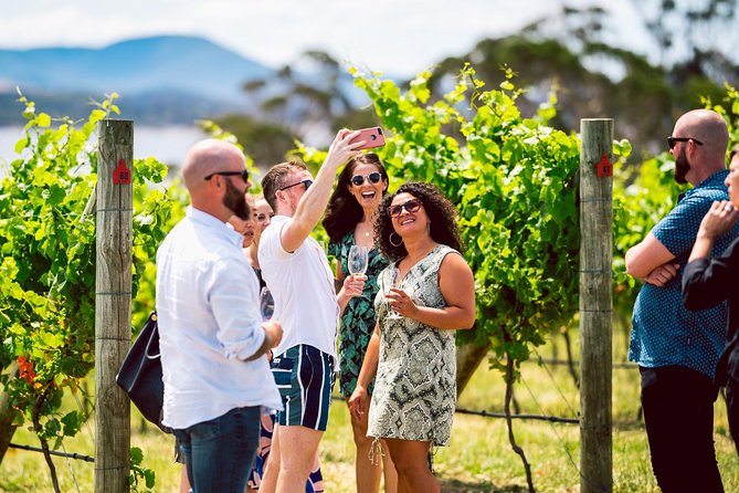 Tasmanian Premium Wine Tour with Tasmanian Cheese Platter - Comfort, Group Size, and the Lunch Reality