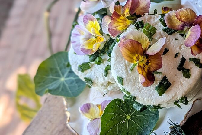 Taste of Europe in Mexico: History and Flavors of Artisan Cheese - Appetizers first: getting your palate ready before the real tasting