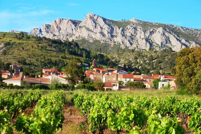 tasting workshop of 6 to 8 wines with charcuterie chocolate cheese - Key highlights at a glance