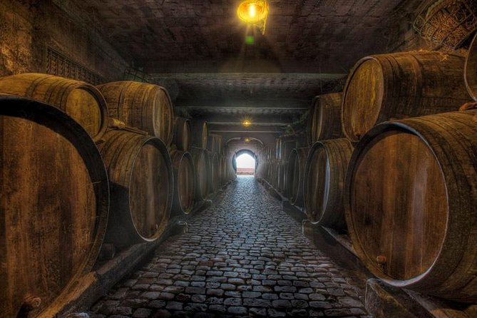Tenerife Bodegas Monje Winery Tour with Wine and Cheese Tasting - Four-wine tasting at a family-run winery (what you’ll actually drink)