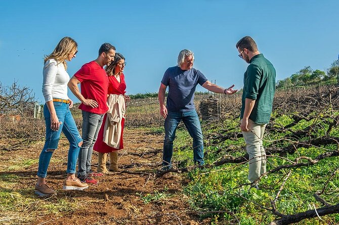 Tenerife Bodegas Monje Winery Tour with Wine and Cheese Tasting - How long it lasts, and what the 90 minutes feels like on site
