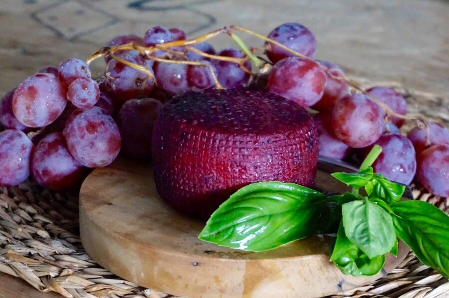 Tenerife - Farm Tour with Cheese Tasting - Key highlights you’ll care about