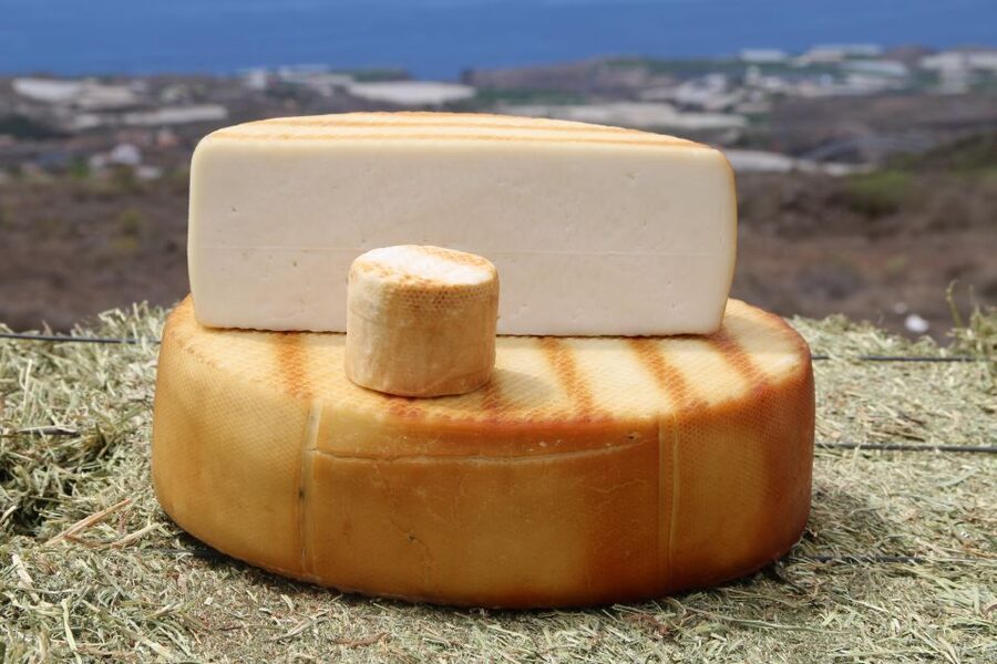 Tenerife - Farm Tour with Cheese Tasting - Stop 1: Meet the goats first, then the cheese makes sense