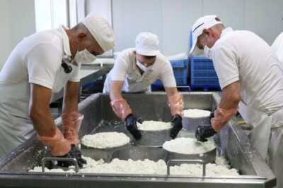 Tenerife - Farm Tour with Cheese Tasting - Getting started at Quesería Montesdeoca (and what to wear)