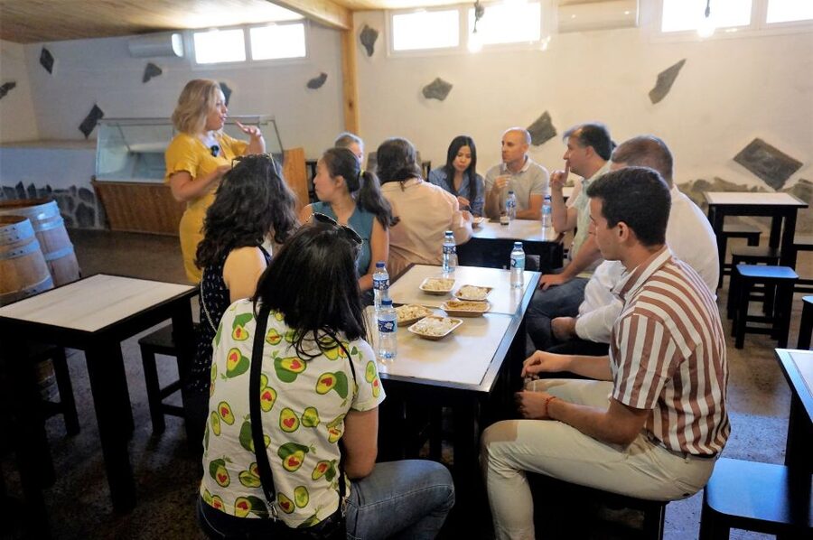 Tenerife - Farm Tour with Cheese Tasting - Stop 3: The cheese tasting that actually teaches you something