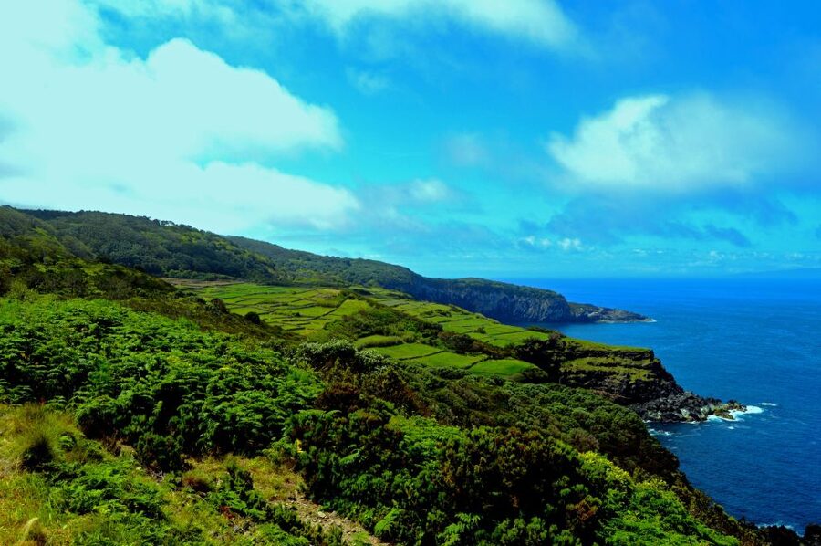Terceira: Half-Day Island Tour with Cheese Tasting - Key things I’d underline before you go