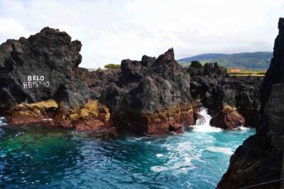 Terceira: Half-Day Island Tour with Cheese Tasting - Morning Logistics: pickup timing, comfort rules, and no-drama expectations