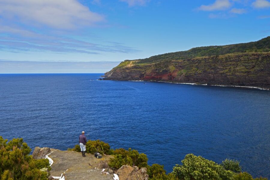 Terceira: Half-Day Island Tour with Cheese Tasting - Price and value at $58: when this is a smart buy