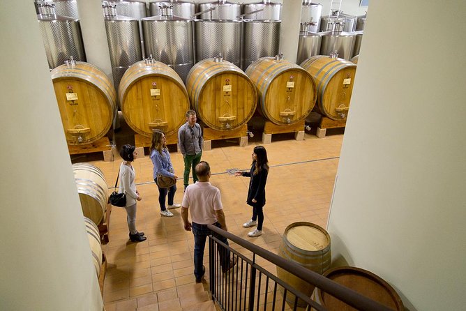 The Valpolicella food & wine driving tour: cheese factory+ winery - Lunch in a private wine-cellar: traditional Verona food, timed well