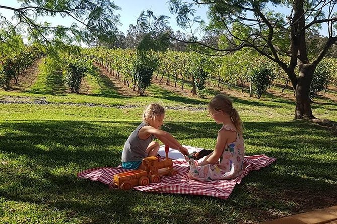 Tintilla Estate: Wine Tasting with a Meat and Cheese Platter - On-Site Olives: Olive Products You Might Get to Try