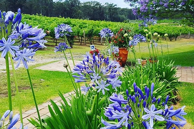 Tintilla Estate: Wine Tasting with a Meat and Cheese Platter - The Host and the Pace: How the Experience Feels