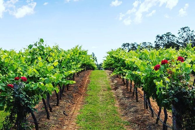 Tintilla Estate: Wine Tasting with a Meat and Cheese Platter - Who This Tintilla Estate Tasting Is Best For