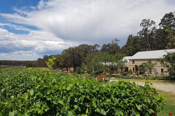 Tintilla Estate: Wine Tasting with a Meat and Cheese Platter - Eight-Wine Tasting: What You Really Get in One Hour