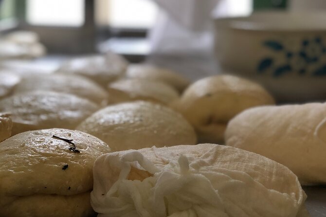 Troodos Mountains Halloumi Making: All Inclusive Workshop & Tour - Cheese making starts at the farm, not in a classroom