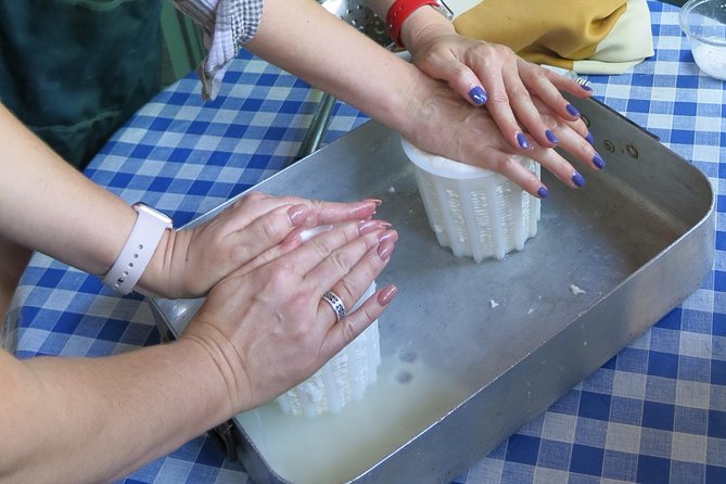 Troodos Mountains Halloumi Making: All Inclusive Workshop & Tour - Golden Donkeys Farm: donkey milk products and a different kind of tasting