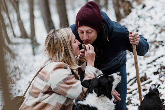 Truffle Hunting and Cheese, Truffle & Wine Tasting near Alba - Quick hits
