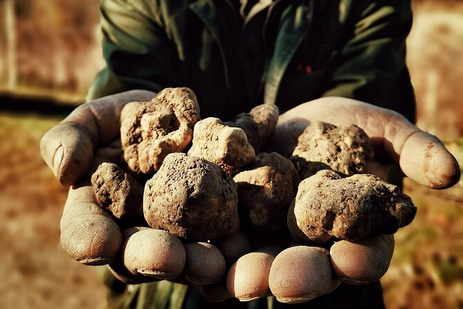 Truffle Hunting and Cheese, Truffle & Wine Tasting near Alba - Price and value: what you pay vs what you’ll pay extra