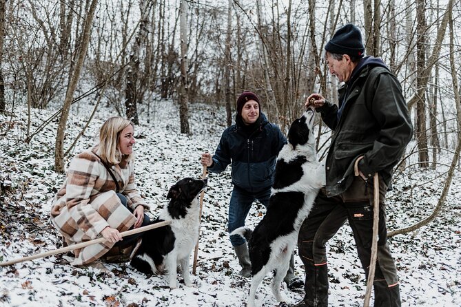 Truffle Hunting and Cheese, Truffle & Wine Tasting near Alba - Getting to the right places: parking, cars, and timing in Monforte d’Alba