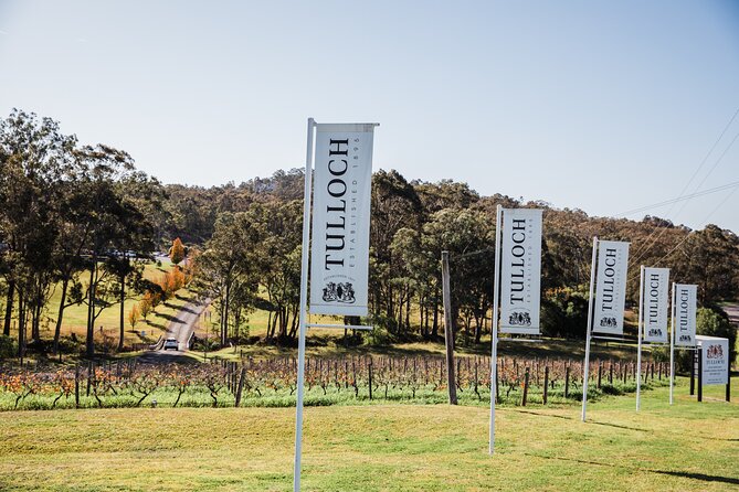 Tulloch Wines Hunter Heroes Wine Tasting with Local Cheese & Charcuterie Board - Private tour feel: pacing, attention, and less randomness
