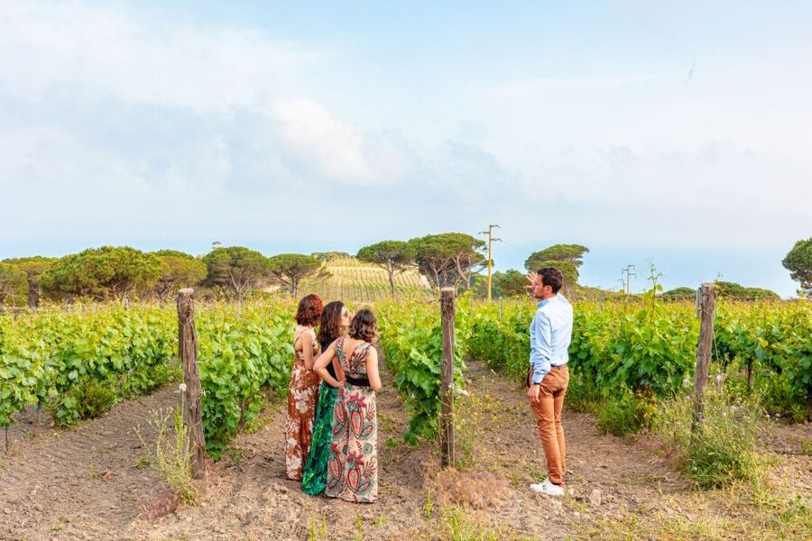 Tuscany: Ripalte Design Winery Wine and Cheese Tasting Tour - Key Things to Know Before You Go