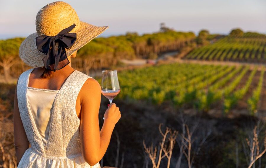 Tuscany: Ripalte Design Winery Wine and Cheese Tasting Tour - Who this tour fits best (and who should choose differently)