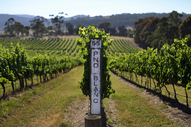 Ultimate Yarra Valley Chandon, Soumah & De Bortoli Cheese & Wine - Key Highlights I’d Circle Before You Book