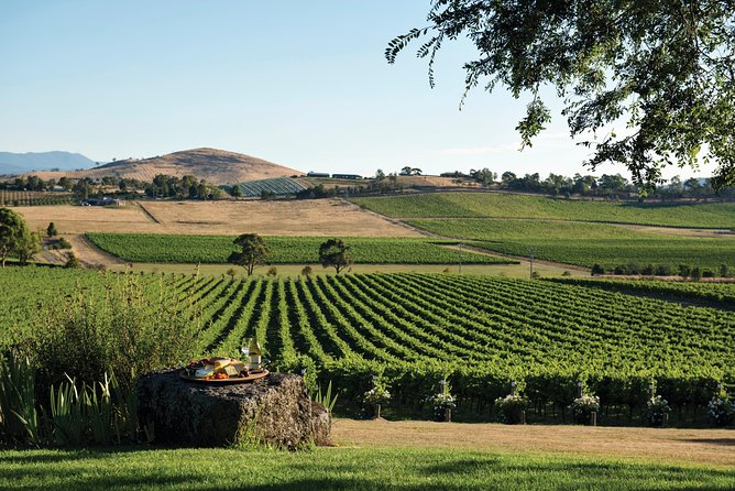 Ultimate Yarra Valley Chandon, Soumah & De Bortoli Cheese & Wine - Chandon Guided Tasting: sparkling wine done with context