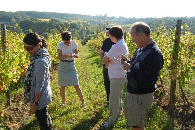Ultimate Yarra Valley Chandon, Soumah & De Bortoli Cheese & Wine - Pacing, comfort, and the reality check on busy days