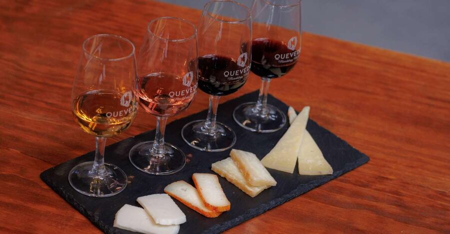 Vila Nova de Gaia: Port Wine Tasting with Cheese Pairing - The Cheese Pairing Makes the Wine Easier to Learn